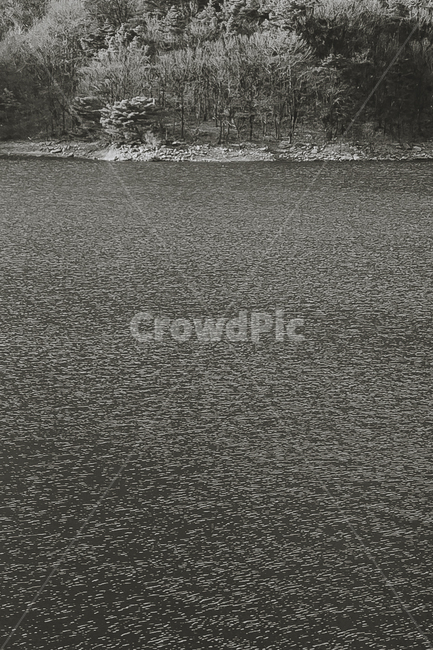 강,호수,흑백사진,물,댐,자연,풍경,nature,흑백,모노톤,monochrome,black and white