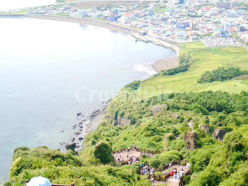바다,산,등산로,제주도,풍경,여름,시원,나무,돌,물