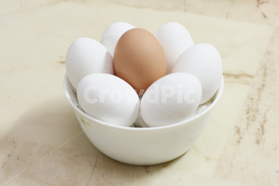 흰계란,계란,계란들,정물,식재료,요리재료,음식,식재료,요리,food,cook,meal,dishes,food reserves