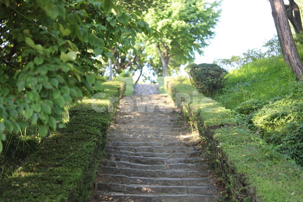 계단,stairs,돌계단,정원,garden,outdoors,옥외