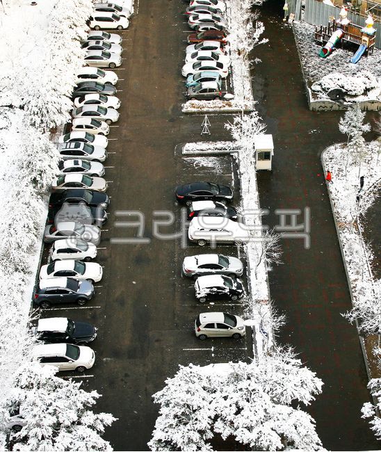 차,교통,겨울,설경,눈꽃,설화