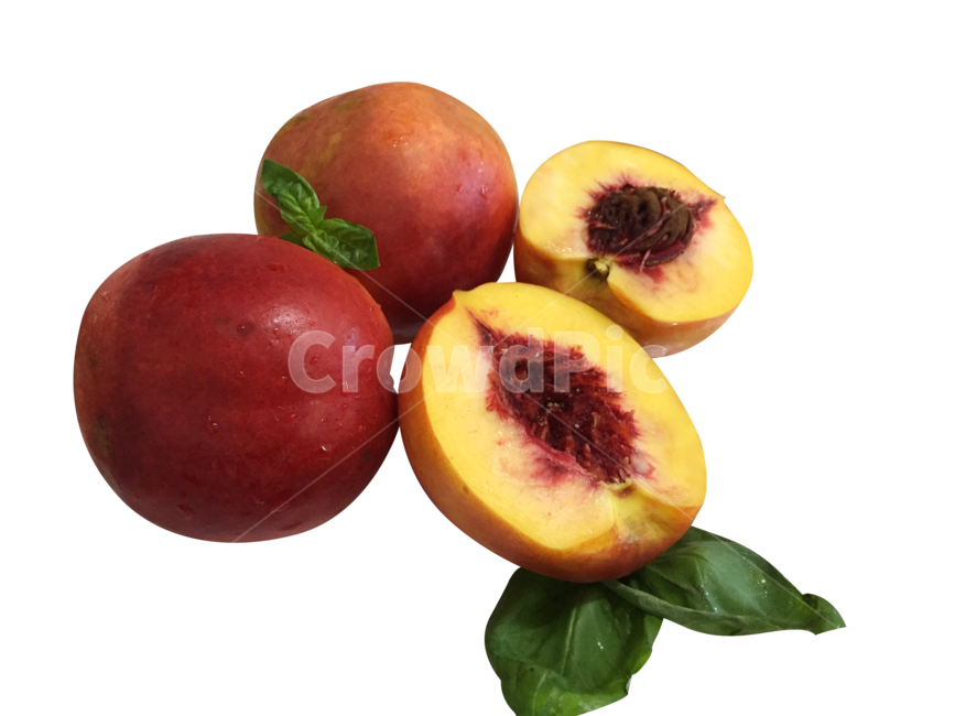천도복숭아,복숭아,여름과일,빨간과일,여름,과일,식물,음식,fruit,food,음식,식재료,요리,food,cook,meal,dishes,food reserves,과일,열매,fruit,누끼,remove background