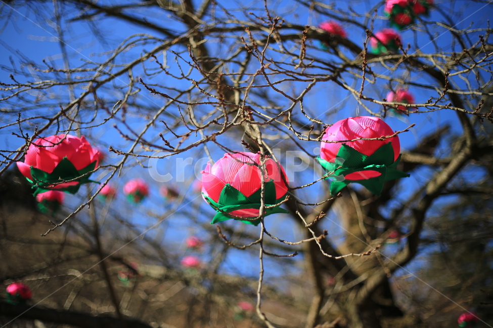 돌탑,사찰,소원,연등,불교,석가탄신일,초파일,종교,신앙,religion,belief,faith,축제,행사,festival,carnival,event