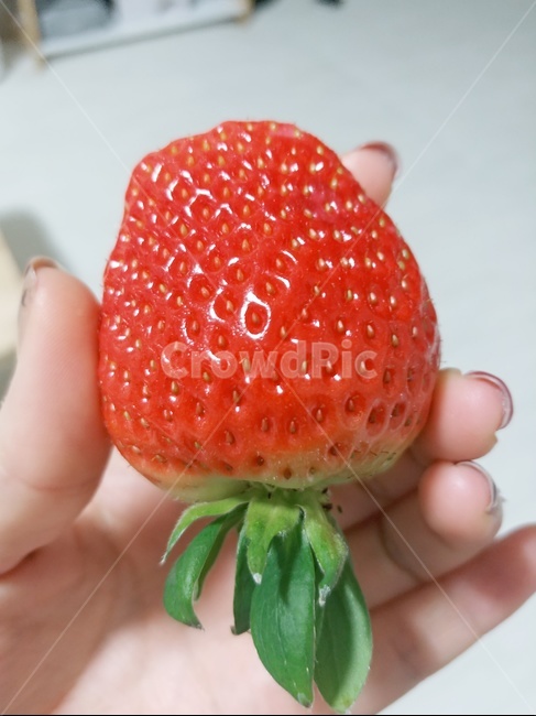 커피,딸기,카페,간식,strawberry,상큼한,빨간색,과일,겨울,제철과일,시원한,후식,음식,cook,food,딸기하나,겨울과일,손,손가락,신체