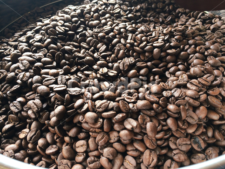 커피,원두,로스팅,coffee,커피콩,커피,카페,coffee,cafe