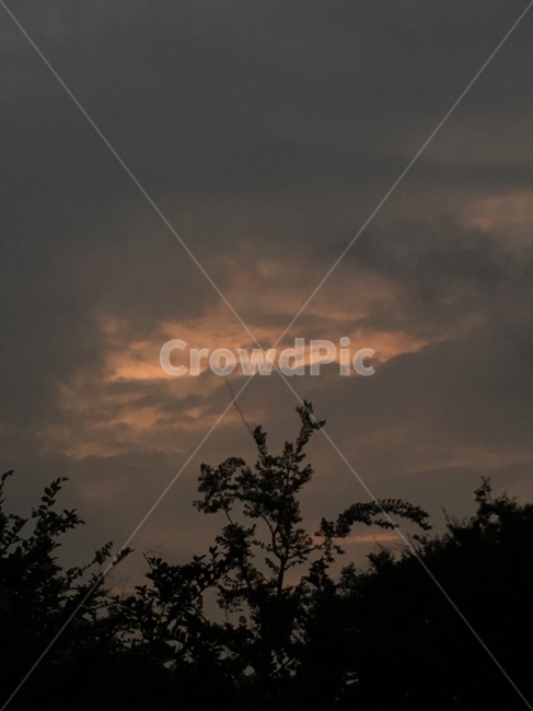 하늘,나무,노을,구름,오후,감성,자연,풍경,nature,landscape,weather,날씨,outdoors,옥외
