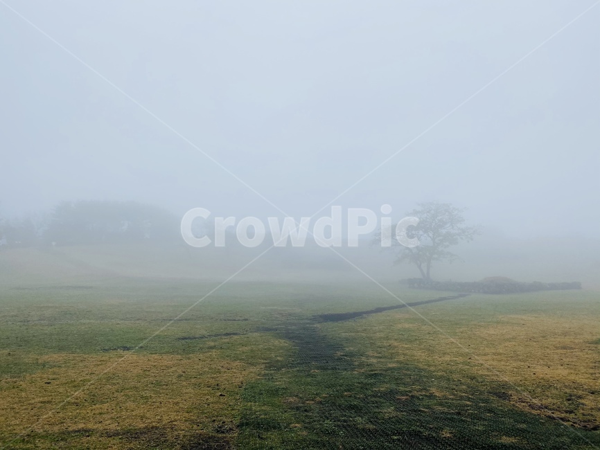 weather,nature,자연,안개,mist,자연,풍경,nature,landscape