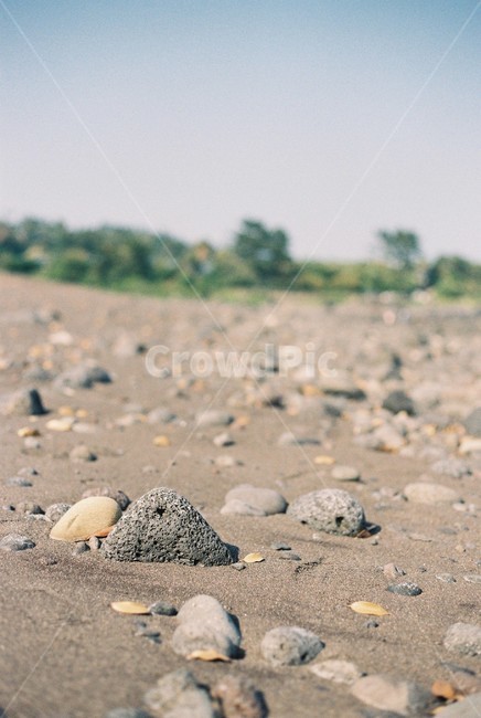 제주,바다,돌,해변가,하늘,나무,해변,바다,beach,sea