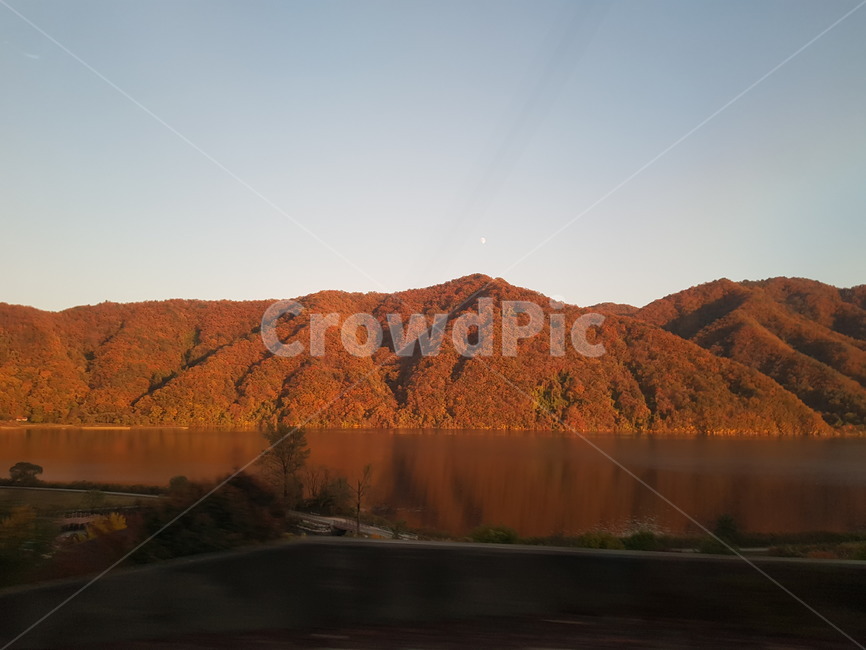 가을산,가을,단풍,자연,강,산,경관,화천,주황