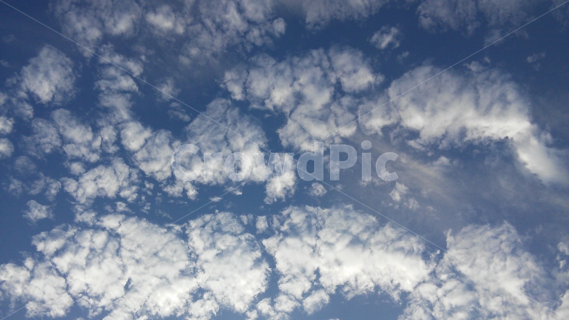 하늘,구름,양떼구름,자연,sky,blue