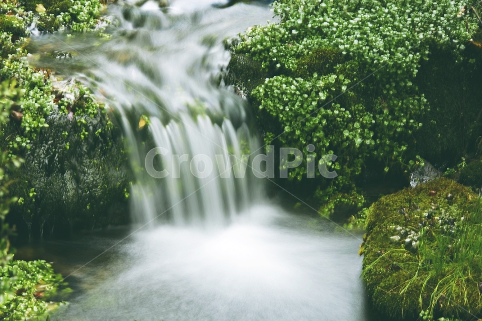 pond,연못,시냇물,폭포,stream,자연,풍경,nature,landscape,river,강,outdoors,옥외,water,물,waterfall