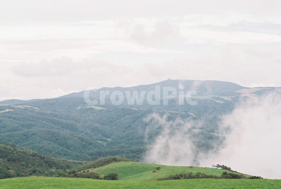 산,안개,fog,초록색,green,filmphoto,필름사진,감성사진