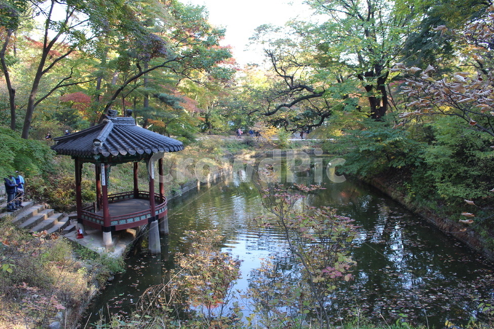 창덕궁,후원,세계유산,정원,가을,전통,문화,한국,문화재