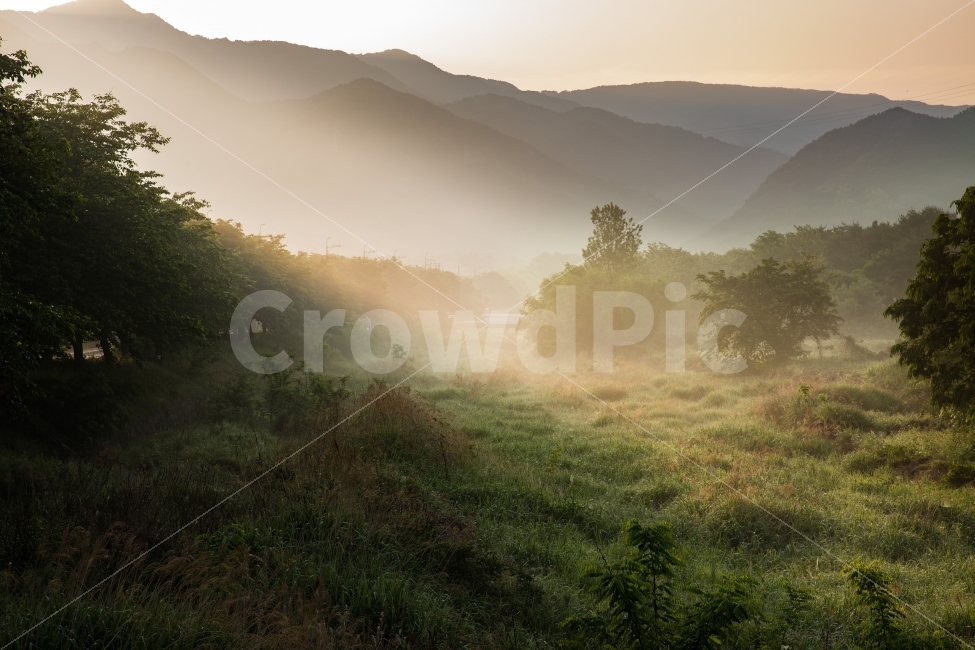 풍경,숲,자연,아침,감성,햇빛,새벽,자연,풍경,nature,landscape,weather,날씨,outdoors,옥외