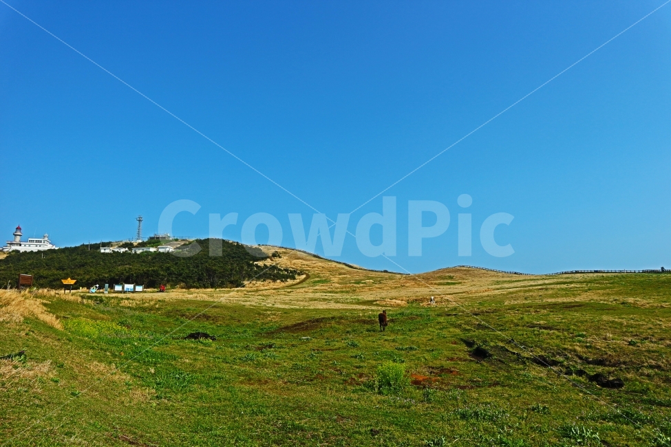 제주도,jeju,여행,travel,하늘,sky,풍경,우도,우도봉,말,제주,자연,풍경,nature,landscape,제주도,jeju,jeju island,outdoors,옥외,grassland,목초지,field,들