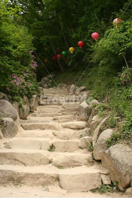 한국,경주,사찰,초파일,연등,석가탄신일,절,소원,길,돌계단,자연,풍경,nature,landscape,한국자연풍경,한국자연경관,korea nature landscape,flagstone,판석,path,통로,walkway,보도,outdoors,옥외