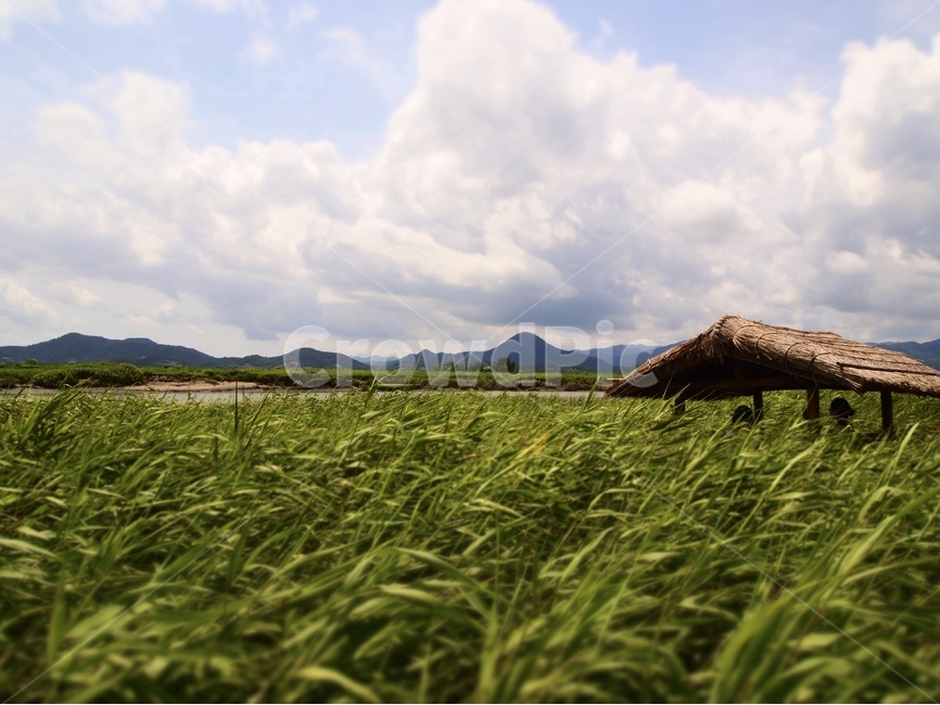 초원,풍경,자연,여름,원두막,summer,green,nature,grassland,하늘,구름