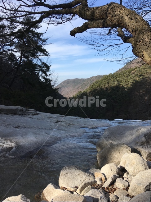 영천,치산계곡,계곡,전망,원천