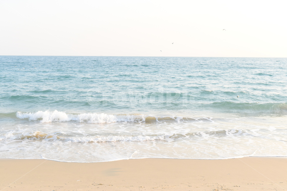 해안가,바다,백사장,파도,모래,모래사장,해안,ocean,대양,물,해안선,shoreline,자연,nature,outdoors,옥외,sea,지평선,horizon