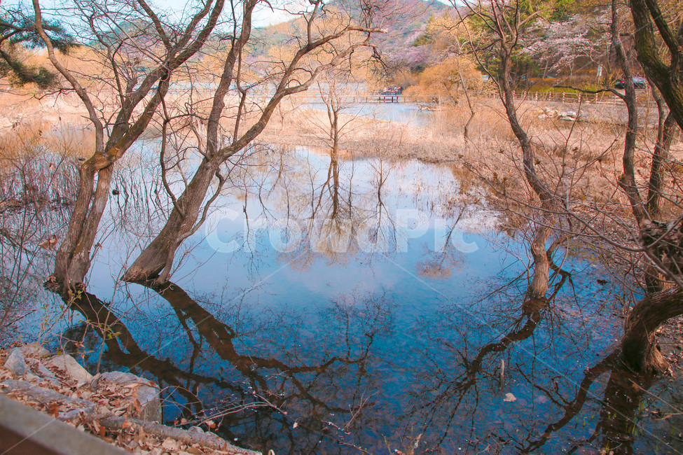 금오산,경상북도환경연수원,환경연수원,자연,계절,season,저수지,연못,산