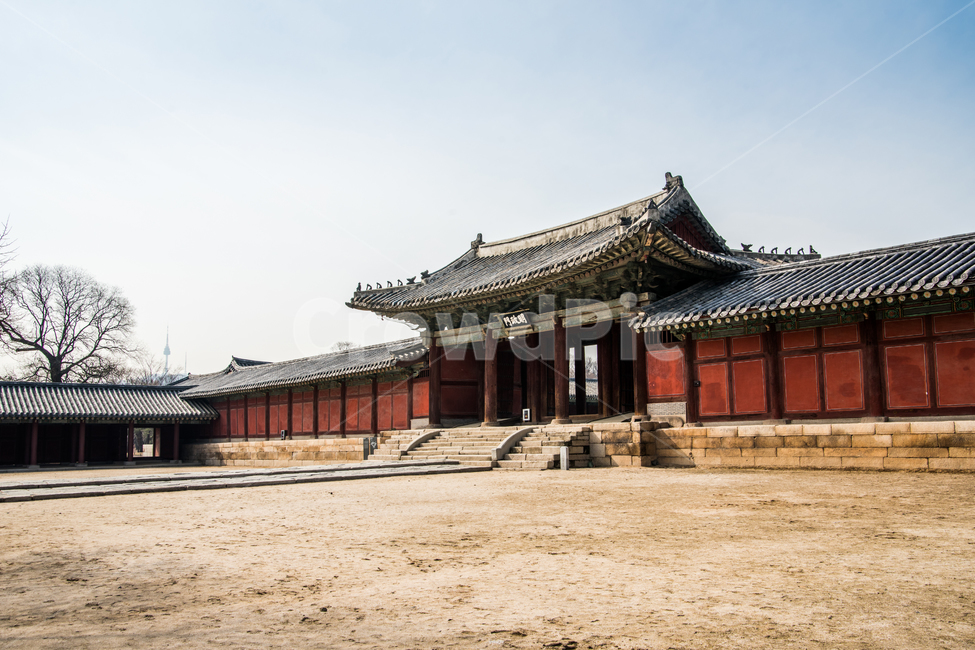 창경궁,궁궐,서울,세계문화유산,건물,한국전통,한국문화,korean traditional,korean culture,랜드마크,landmark,tourist attraction,한국랜드마크,한국관광지,한국명소,korea landmark,korea tourist attraction,건축물,건물외관,exterior,building,structure,architecture,construction