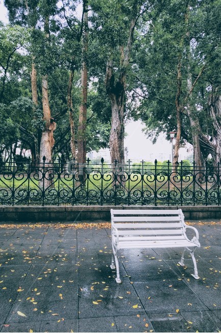 벤치,비오는날,낙엽,산책,휴식,가을,일상,bench,rain,rainyday,fall,chillout,season,road,자연,풍경,nature,landscape