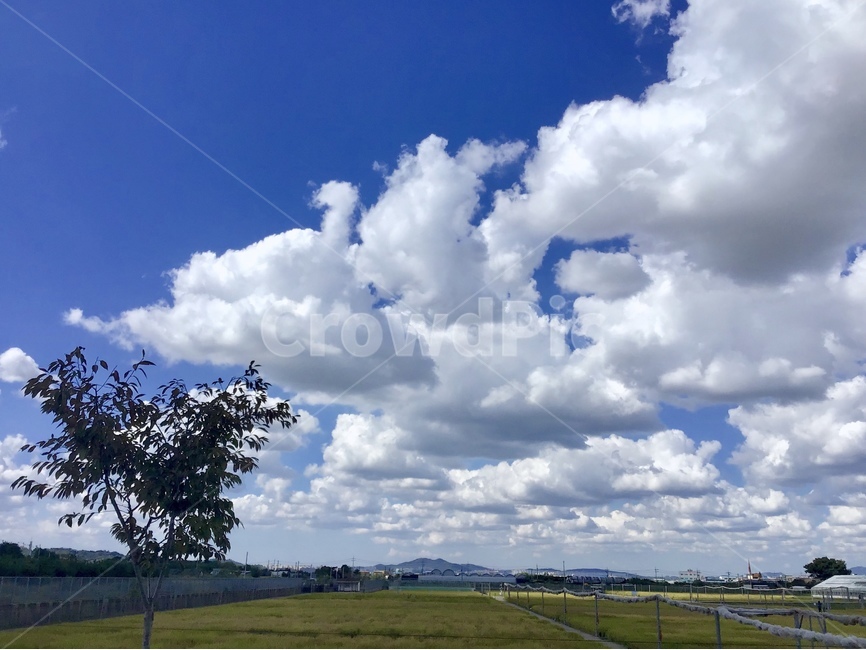 자연,하늘,sky,cloud,구름,밭,날씨