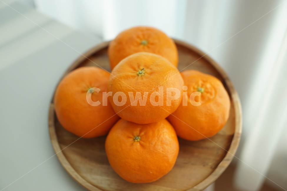귤,과일,간식,천혜향,레드향,감귤류과일,fruit,orange,주황색,음식,food,겨울간식,음식,식재료,요리,food,cook,meal,dishes,food reserves,과일,열매,fruit