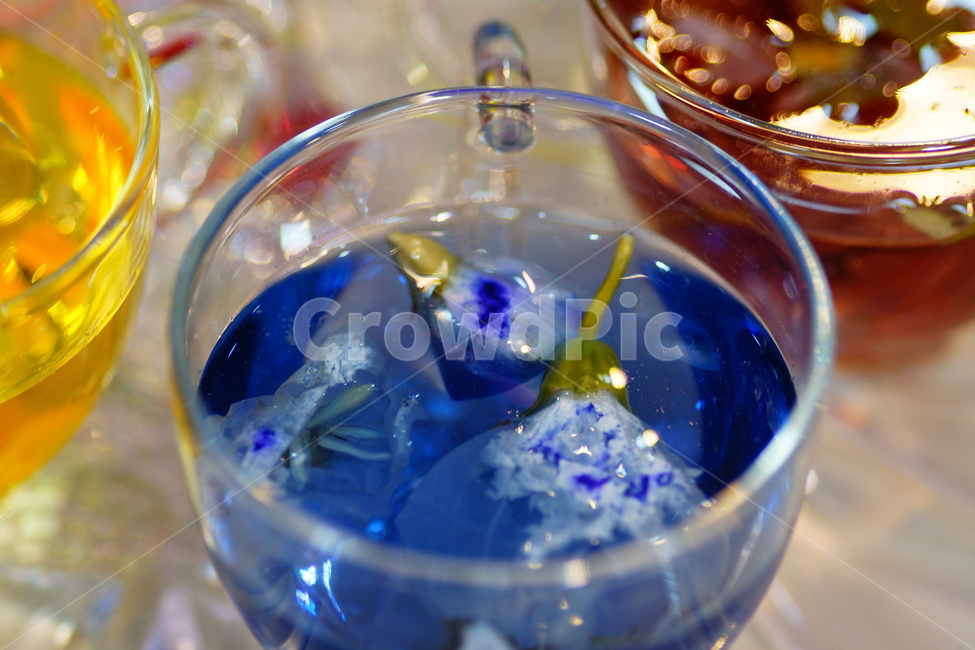 차,꽃차,카페,티,음료,힐링,식물,tea,음료수,drink,beverage
