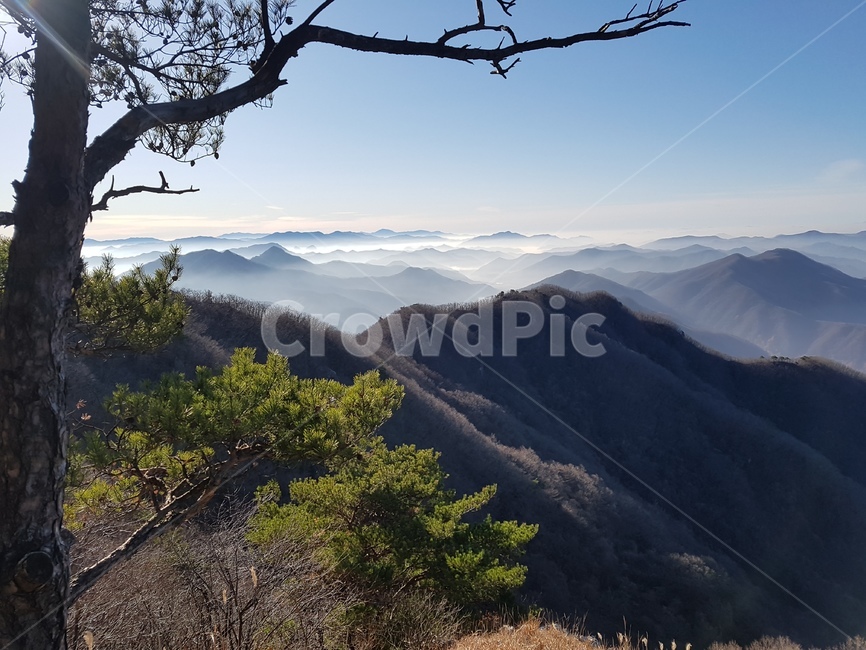 한국의산하,운무,절경,능선,정상,자연,풍경,nature,landscape,tree,나무,plant,식물