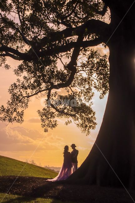 human,풍경,건출물,빌딩,건물,일몰,일출,sunset,sunrise,sky,하늘,웨딩,wedding,결혼,나무,trees,wood,사람,인물,인간,human,person,연인,커플,사랑,lover,couple,결혼,혼례,웨딩,wedding,marriage,marry,인물실루엣,사람실루엣,character silhouette,human silhouette,감성,sensible,feeling