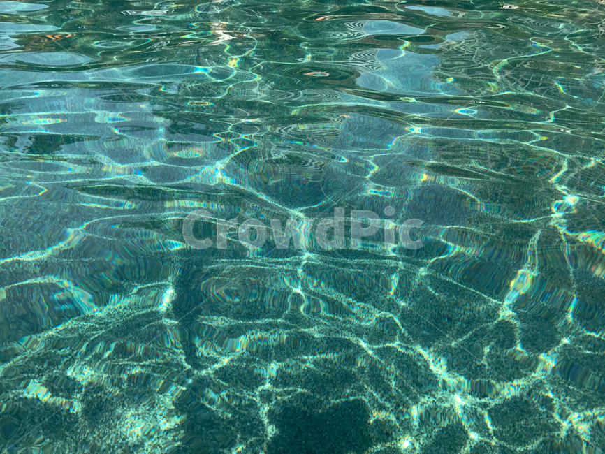 물,푸른,초록,water,수영장,물결,청명한,깨끗한,아쿠아,시원