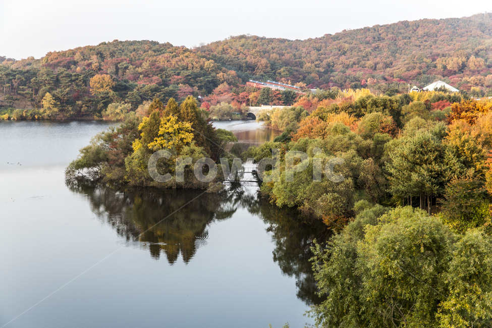 가을,공원,호수,감성,반영,풍경,가을,계절,fall,autumn,season,자연,풍경,nature,landscape,한국자연풍경,한국자연경관,korea nature landscape,water,물,outdoors,옥외