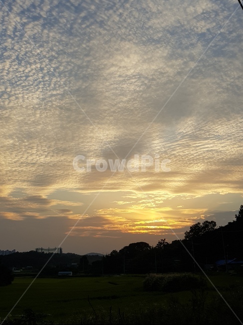 노을,하늘,구름,양떼구름,자연,cloud,sky,na,nature,sunlight,자연,풍경,nature,landscape,햇빛,outdoors,옥외