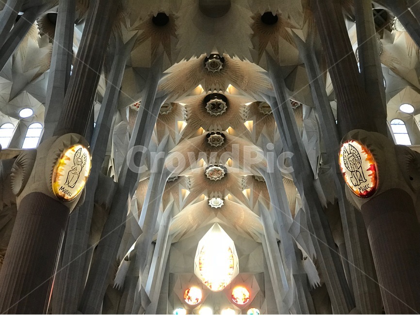 architecture,stainedglass,spain,barcelona,gaudi,design,유럽,스페인,바르셀로나,가우디,건축,건축물,사그라다파밀리아,성당,성가족성당,햇빛,스테인드글라스,sagradafamilia,sagrada,랜드마크,landmark,tourist attraction,해외,외국,세계,foreign,oversea,world,세계랜드마크,해외랜드마크,외국랜드마크,world landmark,world tourist attraction,종교,신앙,religion,belief,faith,건축물,건물외관,exterior,building,structure,architecture,construction,건물,lighting,조명