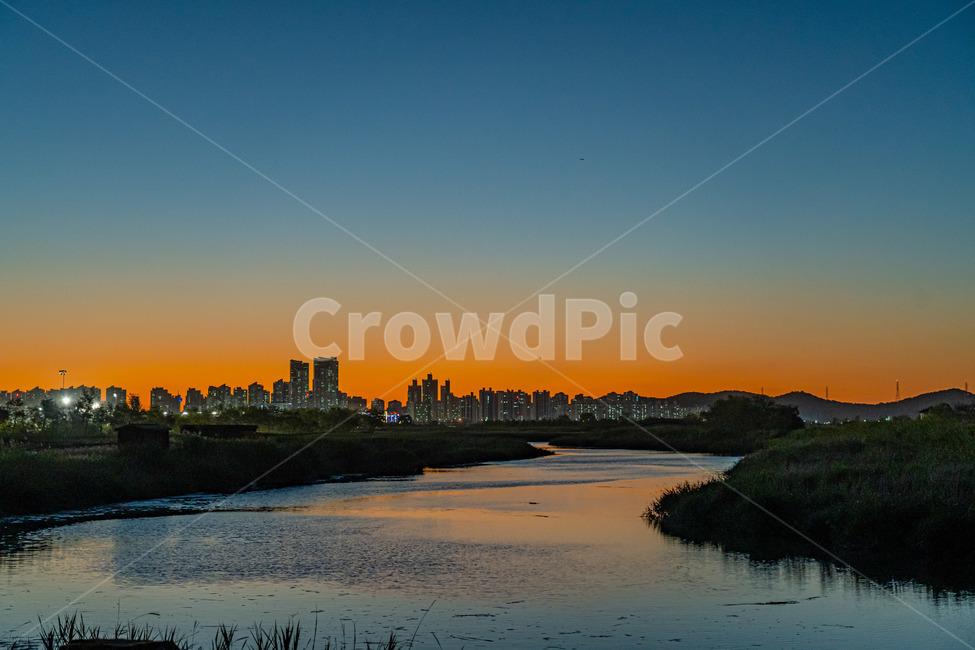 갈대,노을,sunset,water,자연,outdoors,야경,밤,풍경,nightscape,night,landscape,도시,city,한국도시풍경,한국도시경관,korea cityscape