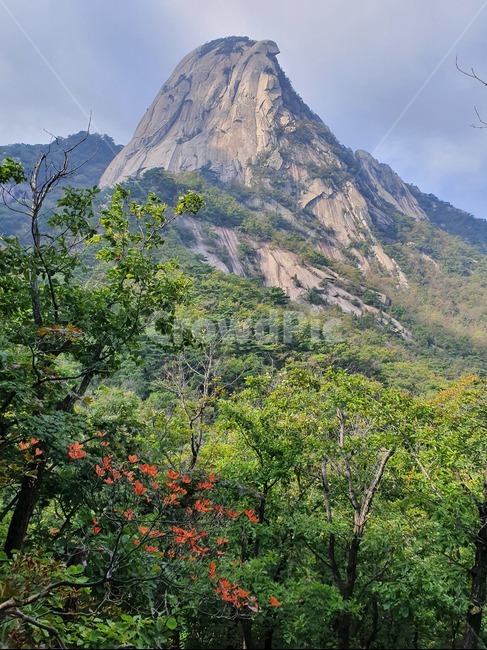 산,자연,옥외,풍경,경치,nature,자연,풍경,nature,landscape