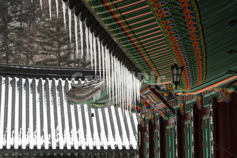 종교,풍경,절,불교,건물,사찰,지붕,단청,현판,기와집,눈,고드름,창살,담장,무늬,패턴,처마,목조건물,전통,강원도,정암사,자장율사,한국,겨울,겨울,계절,winter,season,한국전통,한국문화,korean traditional,korean culture