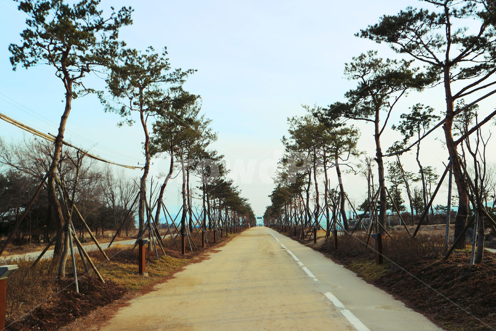 산책,오후,운동,공원,의림지,산책로