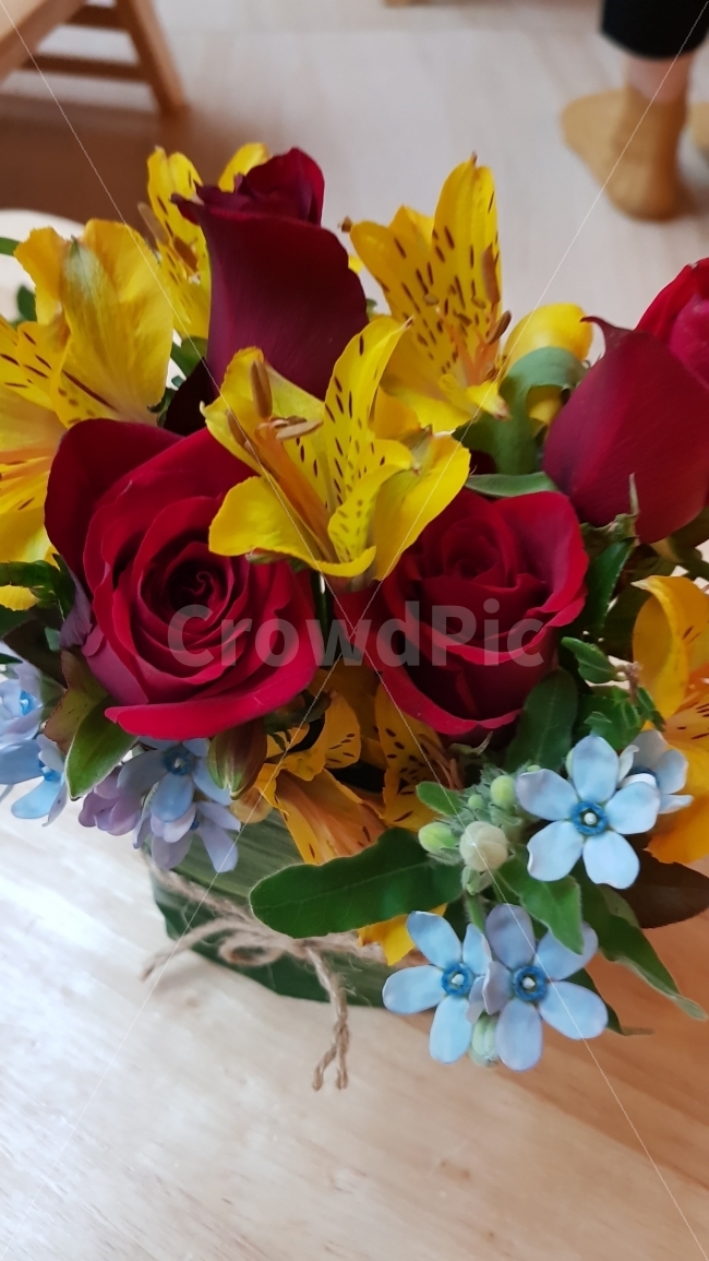 꽃,정물,장미,화분,꽃꽂이,식물,자연,plants,nature,꽃,flower,실내용화초,화분,화초,house plant,인테리어,실내디자인,interior design