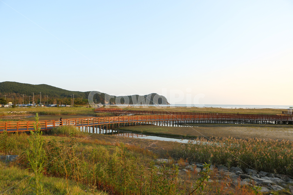 nature,자연,잔디,water,다대포,고우니생태길,자연,풍경,nature,landscape