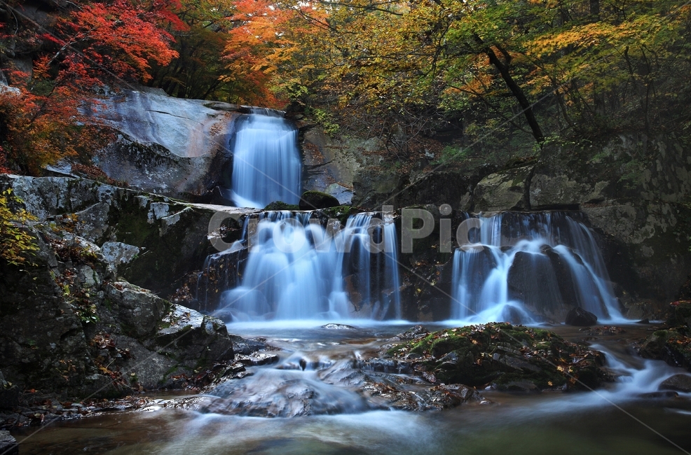leaf,잎,plant,식물,tree,나무,maple,water,물,nature,자연,outdoors,옥외,waterfall,폭포,강원도,인제,방태산,방태산폭포,방태산가을,추색,가을,단풍,단풍잎,낙엽,만추,물흐름,계곡,가을,계절,fall,autumn,season,자연,풍경,nature,landscape