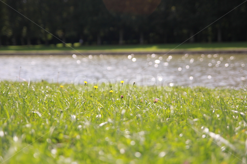 자연,강,풍경,풀,잔디,공원,자연,풍경,nature,landscape,휴식,힐링,rest,relaxation,healing,grass,plant,식물,outdoors,옥외,grassland,목초지,field,들