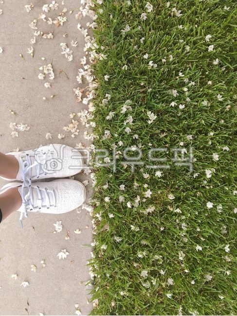 spring,start,action,step,Close help,flower road,footfall