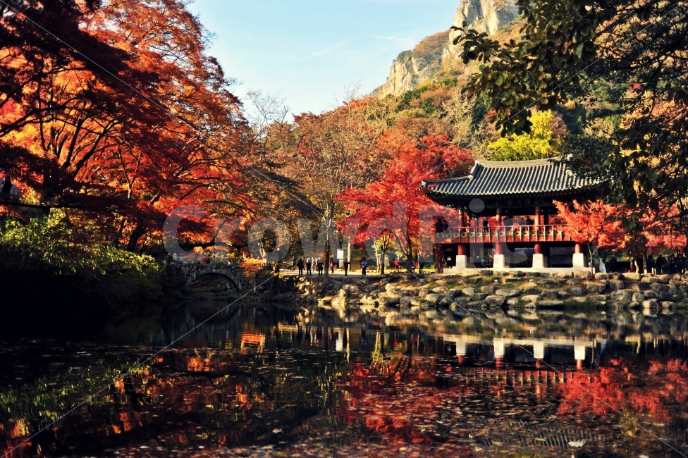 백양사,가을,단풍,출사,사진,반영,자연,풍경,nature,landscape,가을,계절,fall,autumn,season,한국전통,한국문화,korean traditional,korean culture,종교,신앙,religion,belief,faith,architecture,건축물,building,건물