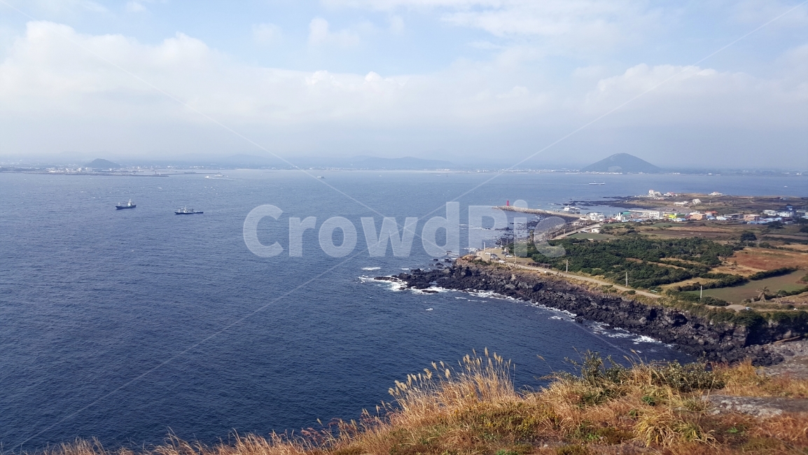 제주도,여행,겨울,바다,해안,겨울바다,jeju,sea,tree,trip,journey,vacation,자연,풍경,nature,landscape,한국자연풍경,한국자연경관,korea nature landscape,제주도,jeju,jeju island,promontory,곶,land,땅,outdoors,옥외,water,물,ocean,대양,shoreline,해안선