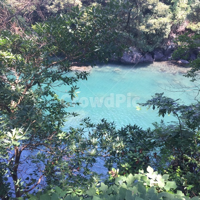 제주도,자연,풍경,나무,물,강,바위,감성,여름,청량,낮,자연,풍경,nature,landscape,제주도,jeju,jeju island,water,outdoors,옥외,land,땅