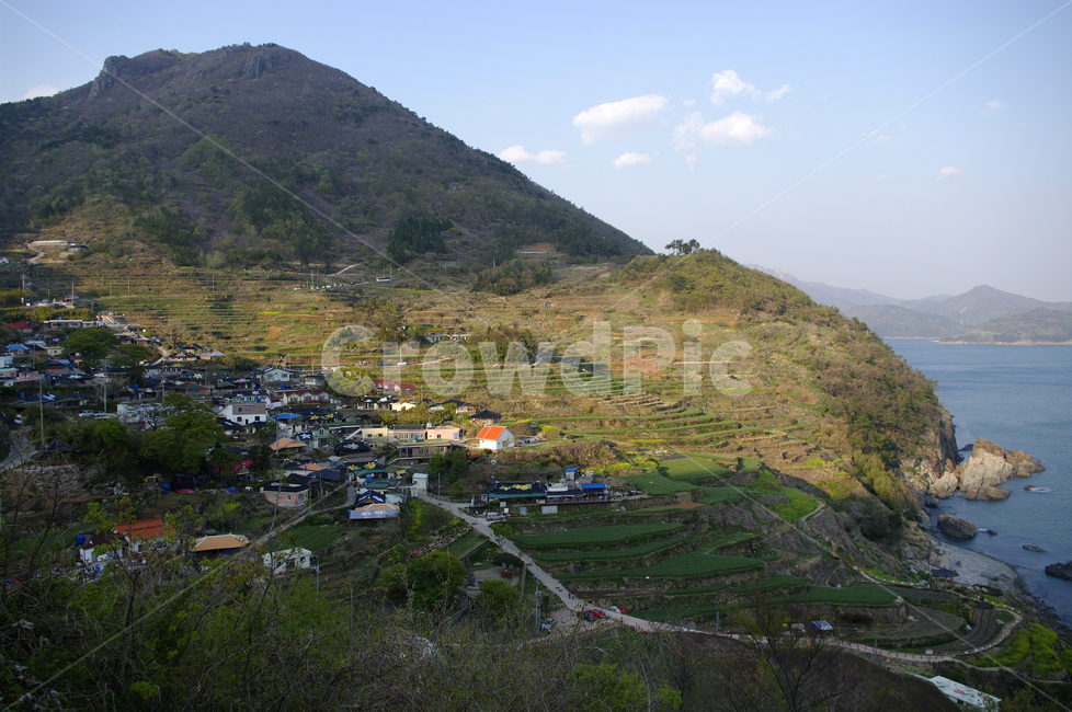 남해,가천마을,다랑이마을,다랑이,풍경,나무,바다,논,마을,시골,마을,풍경,landscape,country,rural,town