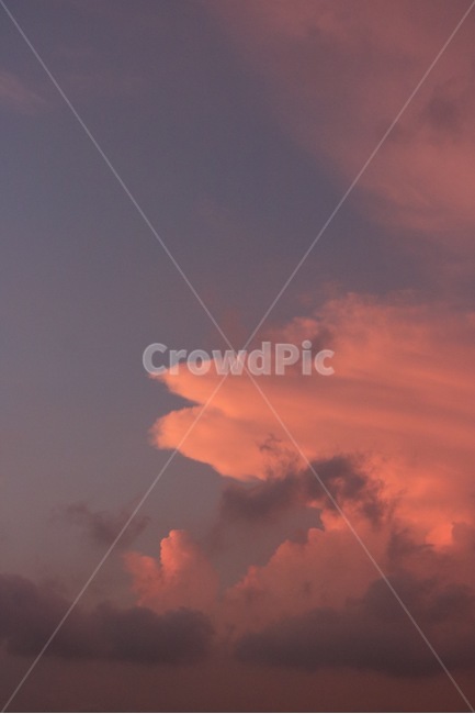 여름,하늘,노을,자연,구름,그라데이션,감성,분홍,summer,natsu,sky,sora,sunset,yuuyake,nature,cloud,kumo,pink,pinku,blue,ao,자연,풍경,nature,landscape,색깔,색상,색채,색감,color sense,color sensitivity,feeling of color,weather,날씨,outdoors,옥외,cumulus,적운