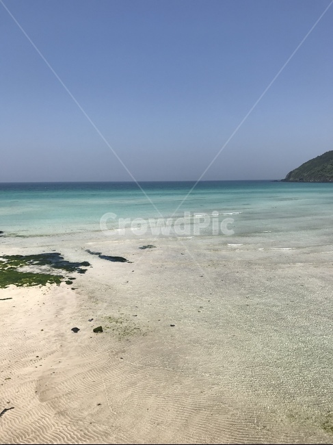 바다,파란색,제주,제주도,제주바다